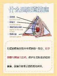 Uzi即将开启常规赛调细节曝光(uzi最新消息动态2025)|凯旋棋牌游戏官网